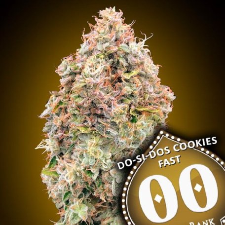 (Bild für) Do-Si-Dos Cookies Fast Feminised Seeds