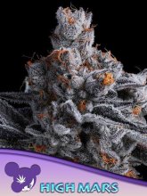 (Bild für) High Mars Feminised Seeds