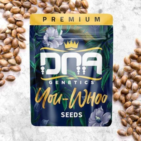 (Bild für) You-Whoo Regular Seeds