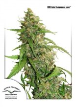 (Bild für) Compassion Lime CBD Auto Feminised Seeds