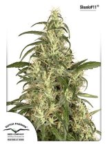 (Bild für) Skunk #11 Feminised Seeds