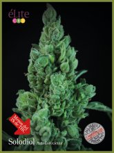 (Bild für) Solodiol CBD Auto Feminised Seeds