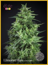 (Bild für) Llimonet Haze Ultra CBD Feminised Seeds