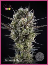 (Bild für) Llimonet Haze Classic CBD Feminised Seeds