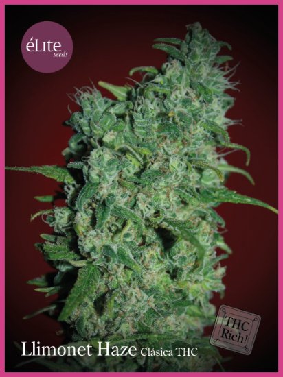 (Bild für) Llimonet Haze Classic THC Feminised Seeds