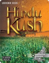 (Bild für) Hindu Kush Regular Seeds