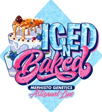 (Bild für) Iced 'n' Baked Auto Feminised Seeds