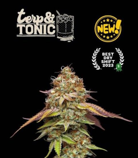 (Bild für) Terp & Tonic Feminised Seeds