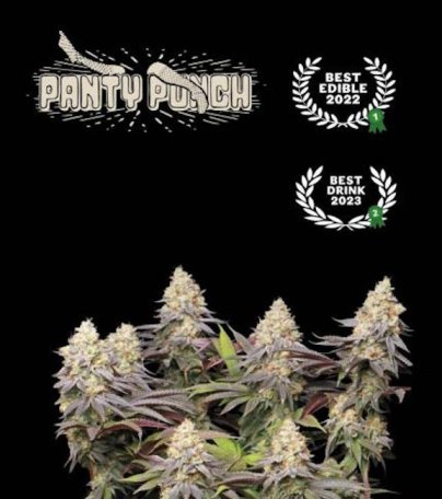 (Bild für) Panty Punch Feminised Seeds