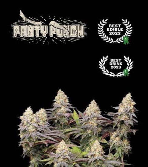 (Bild für) Panty Punch Feminised Seeds