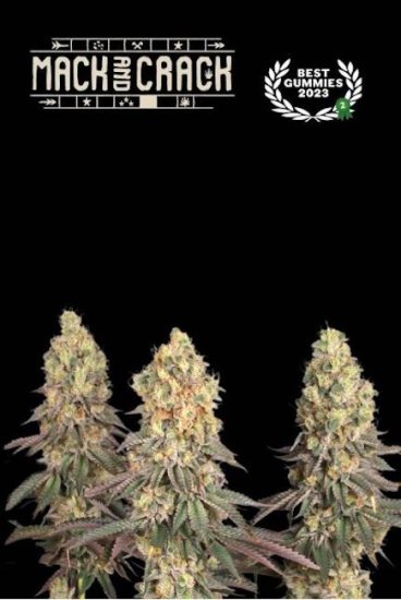 (Bild für) Mack & Crack Feminised Seeds