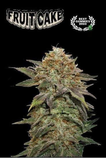 (Bild für) Fruit Cake Feminised Seeds