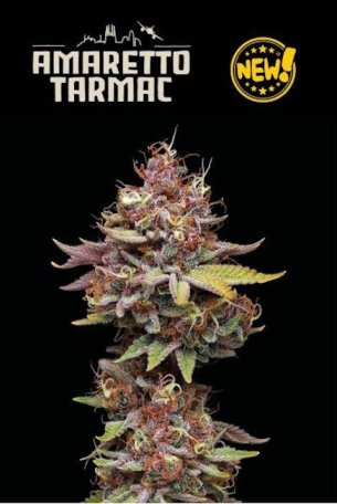 (Bild für) Amaretto Tarmac Feminised Seeds