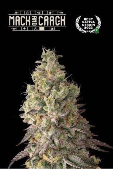 (Bild für) Mack & Crack Auto Feminised Seeds