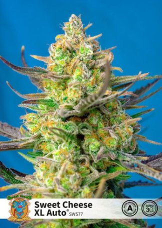 (Bild für) Sweet Cheese XL Auto Feminised Seeds