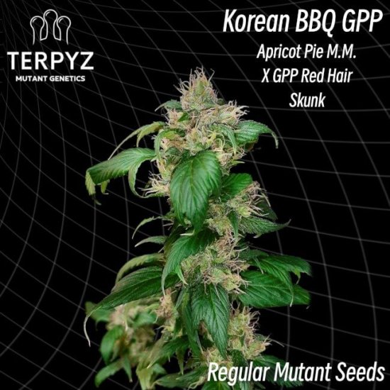 (Bild für) Korean BBQ GPP Regular Seeds