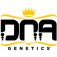 (Bild für) DNA Genetics